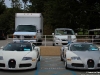 13 Bugatti Veyrons in Pebble Beach