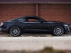 official-2015-mustang-rtr-4