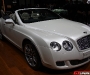 Bentley Continental GT/GTC Live