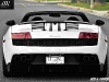 Black & White Car Rental Lamborghini Gallardo Spyder LP 570-4 Performante