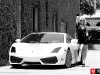 Blonde flanks Lamborghini LP560 TT