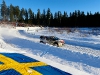 rally-sweden-17