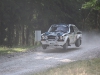 forest-rally-stage-12