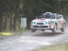 forest-rally-stage-15