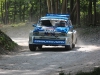 forest-rally-stage-29