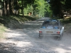 forest-rally-stage-42
