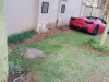 ferrari-458-spider-manages-to-find-a-tree-inside-a-south-african-residential-complex_8