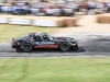 goodwood-festival-of-speed-2014-racers-55