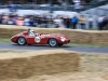 goodwood-festival-of-speed-2014-racers-80