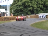 goodwood-festival-of-speed-2014-racers-107