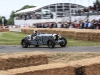 goodwood-festival-of-speed-2014-racers-96