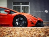 custom-bull-plays-with-autumn-leaves-photo-gallery_6