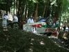 Goodwood 2011 Forest Rally Stage