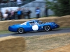 goodwood-festival-of-speed-2014-overview-8