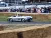 goodwood-festival-of-speed-2014-overview-128