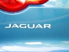 jaguar-at-goodwood-2013-18-of-38