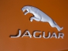 Jaguar F-Type V8 S Badge