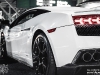 Lexim Canada Reveals DMC Toro Lamborghini Gallardo LP560-4