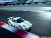 Official Porsche 911 GT3 RS 4.0 Limited Edition