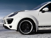 TopCar Porsche Cayenne Vantage 2 