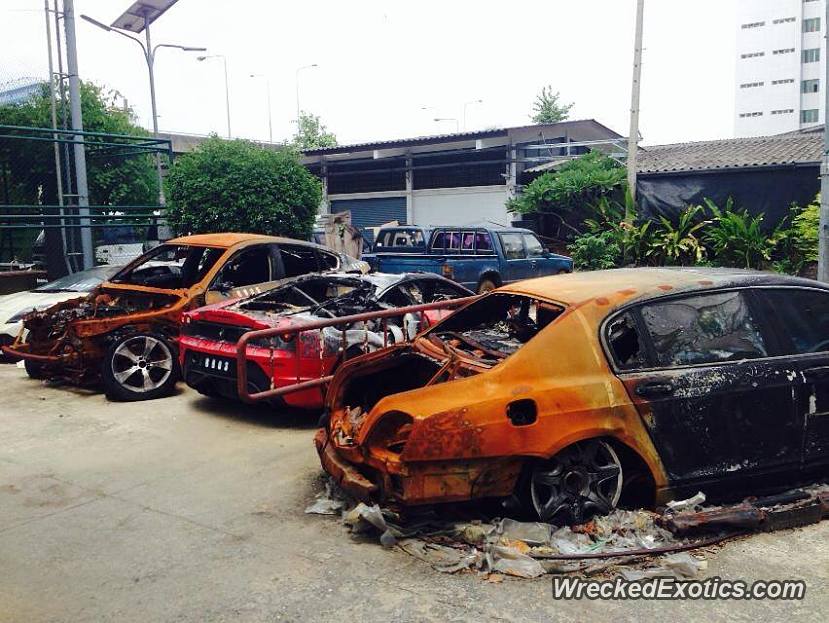 Selection of Exotics Destroyed by Fire in Thailand