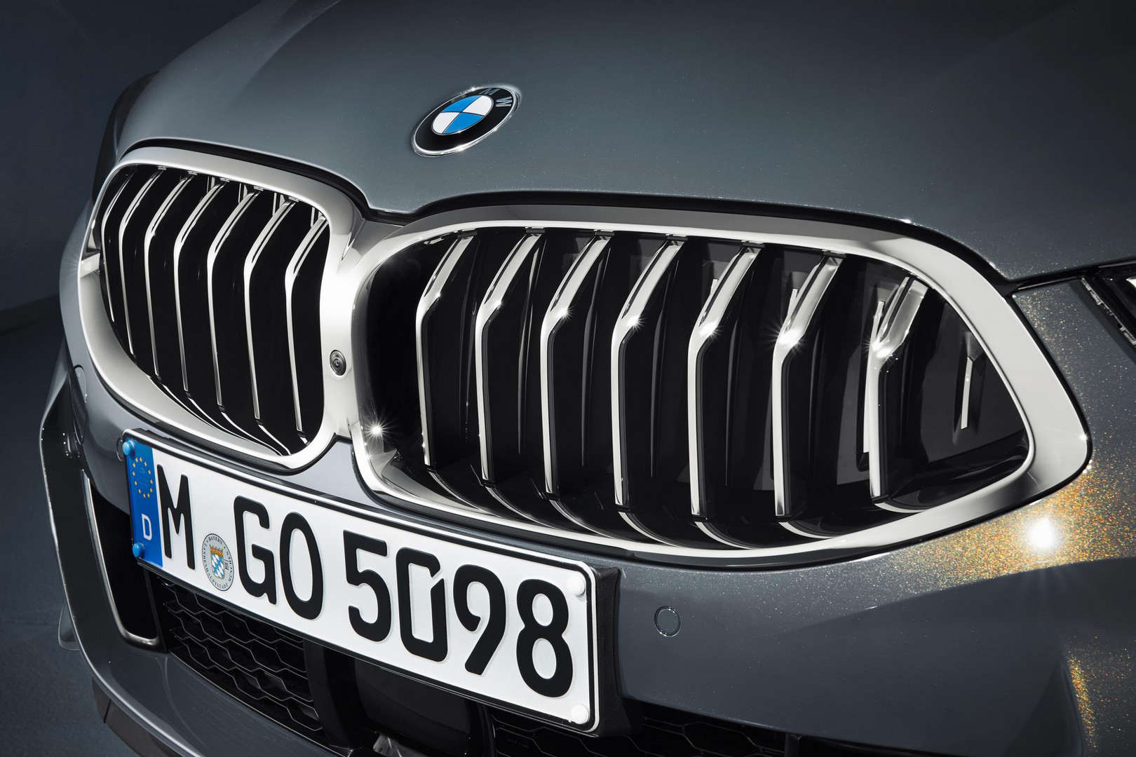2019 BMW 8 Series Convertible Kidney Grille