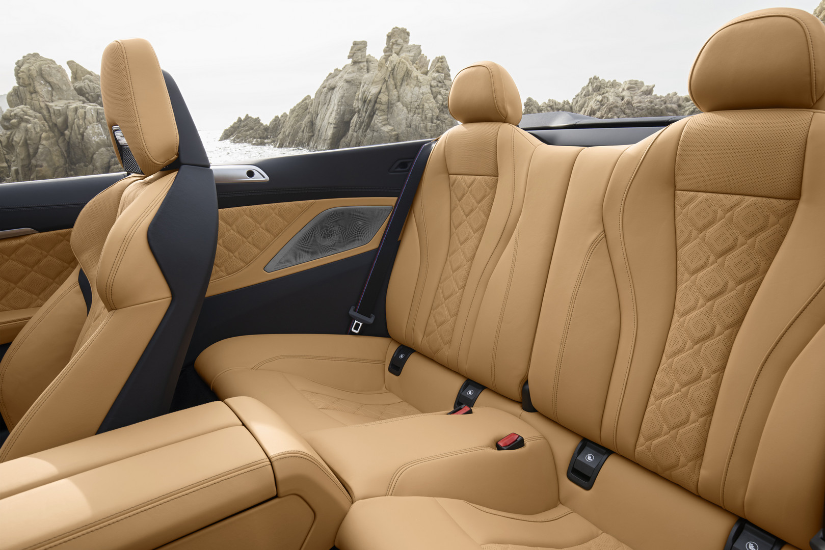 2020 BMW M8 Competition Rear Seats