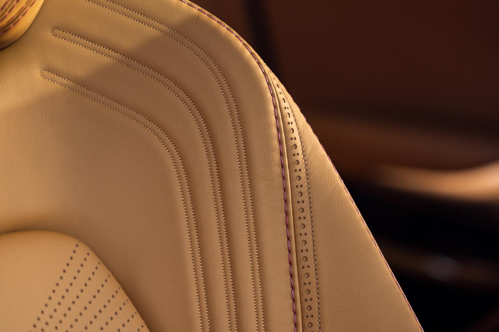 Aston Martin DBX Stitching