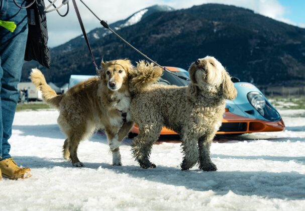 GTspirit FATicerace 29