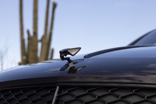 GTspirit 2025 BentleyFS 3