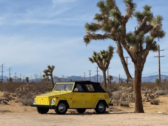 GTspirit TheThing 12