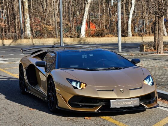 Lamborghini Aventador SVJ Roadster for sale10