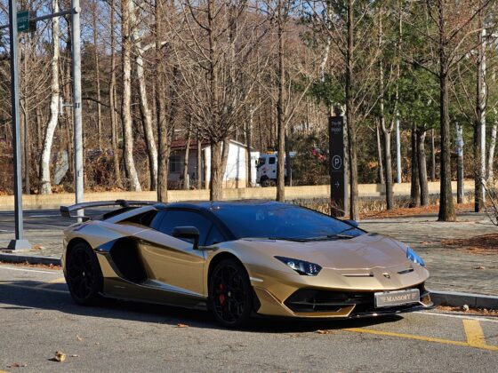 Lamborghini Aventador SVJ Roadster for sale11