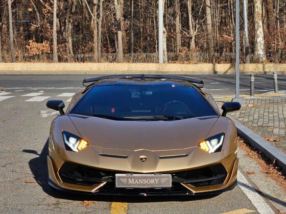 Lamborghini Aventador SVJ Roadster for sale12