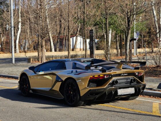 Lamborghini Aventador SVJ Roadster for sale13