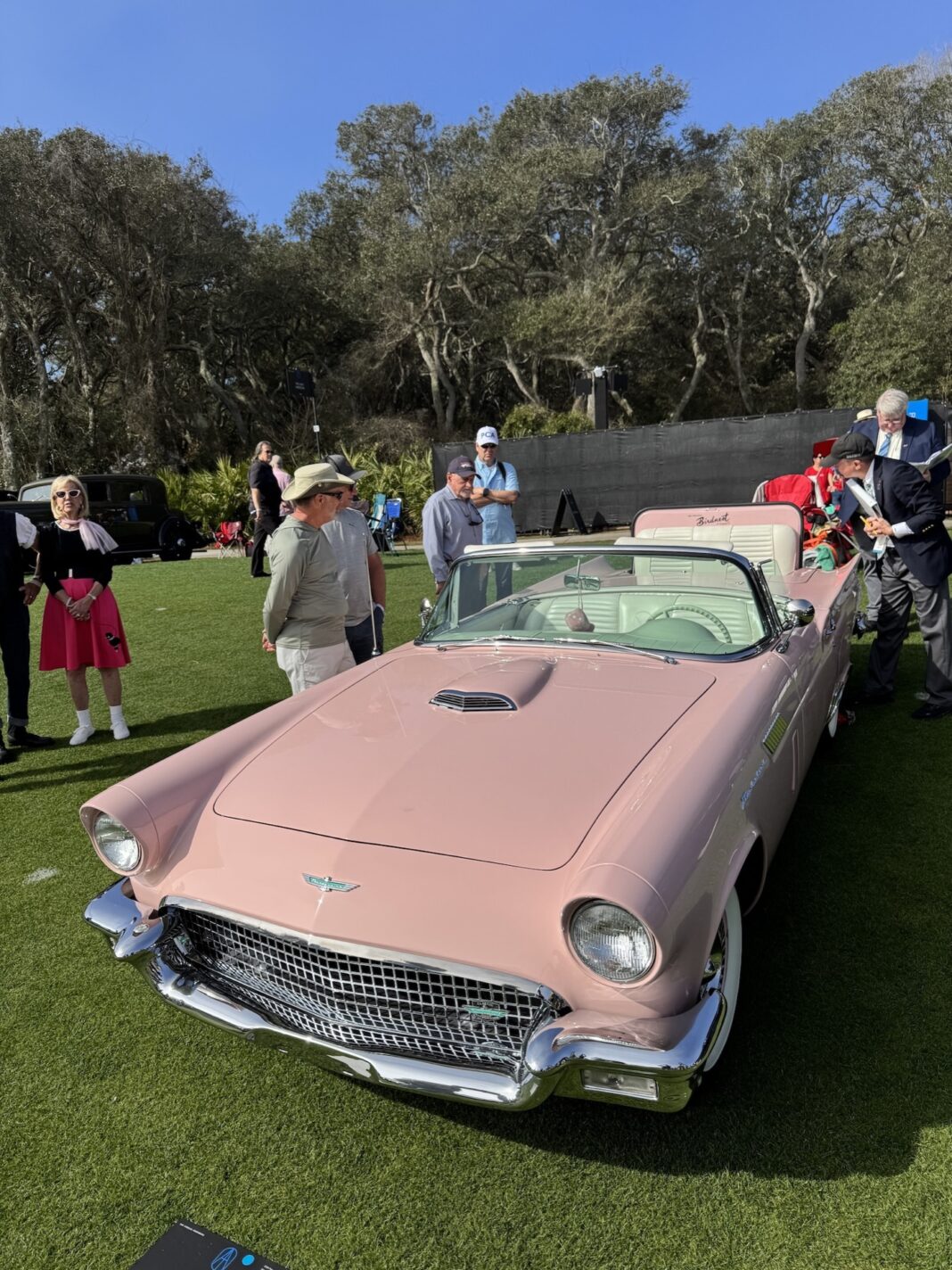 Amelia Island 2026 15